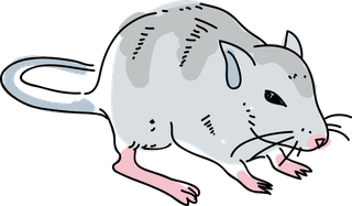 volegerbil-mouse-pose-hand-drawn-doodle-vector-illustration-163511