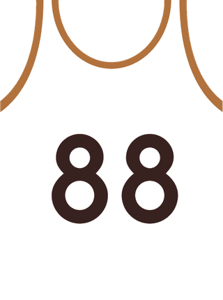 volleyballdesign-elements-white-brown-decor-various-symbols-406113