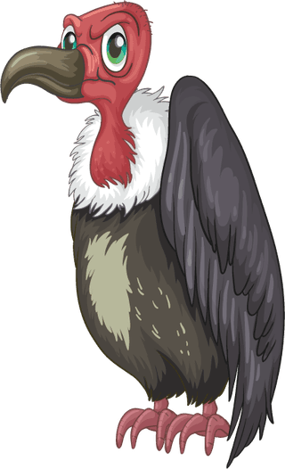 vultureisolated-picture-wild-animals-703024