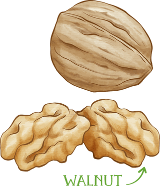 walnuthand-drawn-pistachio-baklava-recipe-539026