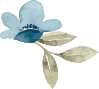 watercolorblue-yellow-floral-elements-arrangement-collection-272037
