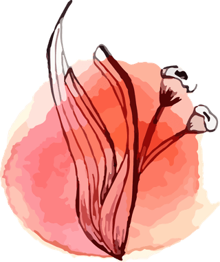 watercolorbontanical-art-flower-illustration-vector-897289