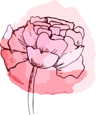watercolorbontanical-art-flower-illustration-vector-288201
