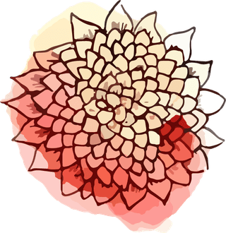 watercolorbontanical-art-flower-illustration-vector-776640