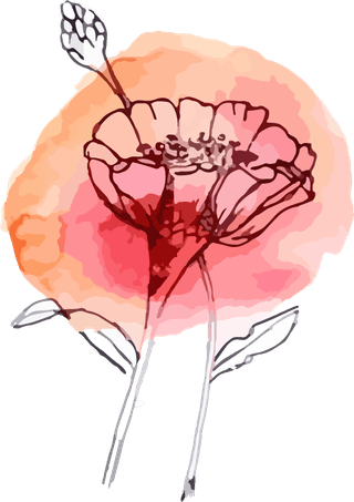 watercolorbontanical-art-flower-illustration-vector-610069