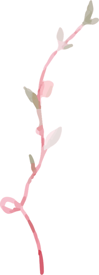 watercolorelements-pink-roses-dahlia-lily-flower-243790