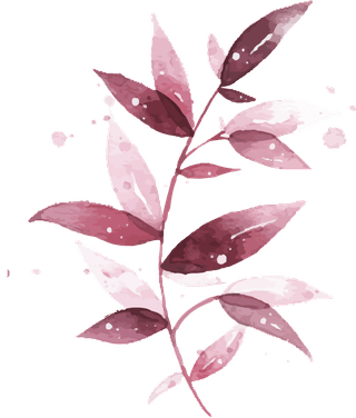 watercolortropical-burgundy-maroon-leaves-isolated-537614