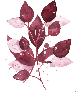 watercolortropical-burgundy-maroon-leaves-isolated-827548