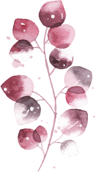 watercolortropical-burgundy-maroon-leaves-isolated-186222