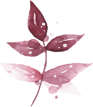 watercolortropical-burgundy-maroon-leaves-isolated-882252