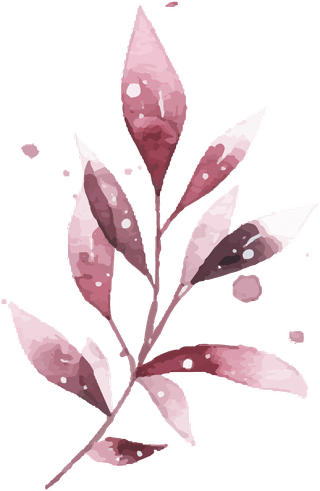 watercolortropical-burgundy-maroon-leaves-isolated-828202