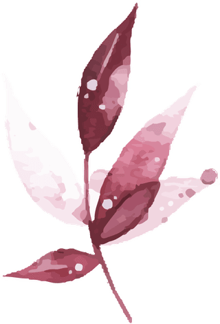 watercolortropical-burgundy-maroon-leaves-isolated-694266