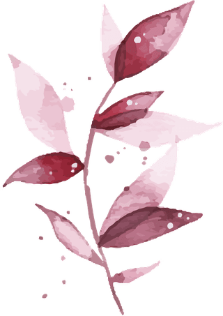 watercolortropical-burgundy-maroon-leaves-isolated-467154