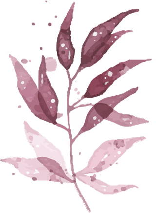 watercolortropical-burgundy-maroon-leaves-isolated-218468