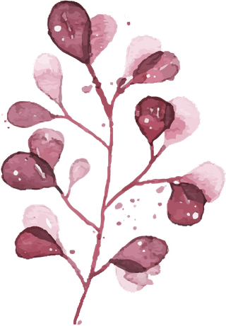watercolortropical-burgundy-maroon-leaves-isolated-567769