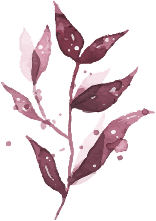 watercolortropical-burgundy-maroon-leaves-isolated-14117