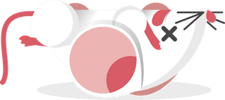 whitemouse-flat-mice-collection-with-different-poses-469718