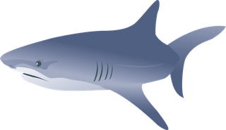 whiteshark-eyes-pack-299189