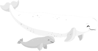 whitewhale-polar-animals-icons-cute-cartoon-sketch-398331
