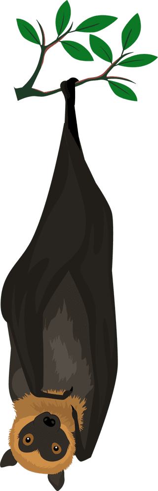 whoresonbat-species-icons-gestures-sketch-cartoon-design-560917