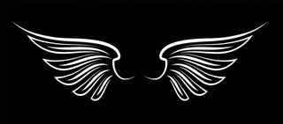 wingswings-black-elements-angels-birds-wings-illustration-white-wings-976430