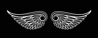 wingswings-black-elements-angels-birds-wings-illustration-white-wings-644790
