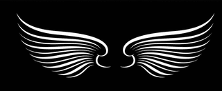 wingswings-black-elements-angels-birds-wings-illustration-white-wings-128948