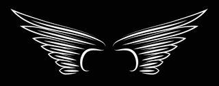 wingswings-black-elements-angels-birds-wings-illustration-white-wings-699922