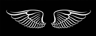 wingswings-black-elements-angels-birds-wings-illustration-white-wings-616392