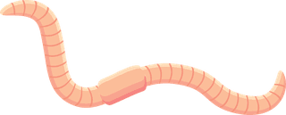 wormsearthworm-vector-icon-set-532132