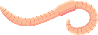 wormsearthworm-vector-icon-set-525413