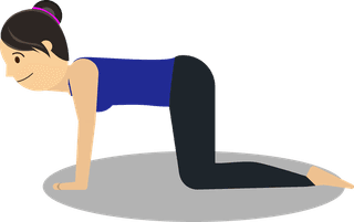 yogavector-illustration-with-various-arm-balance-positions-237777