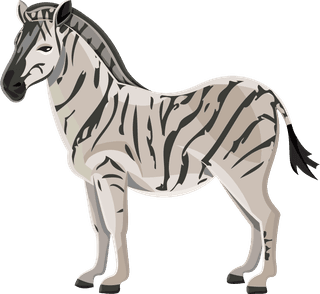 zebraafrica-icons-set-186283