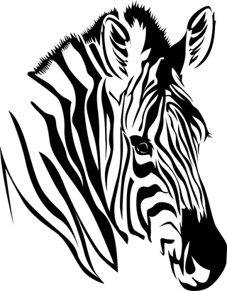 zebraicons-black-white-sketch-205730