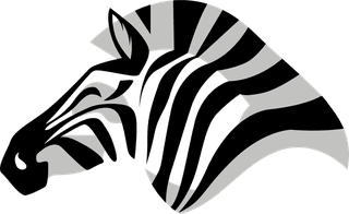 zebraicons-black-white-sketch-515175