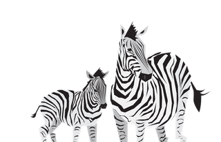 zebrareindeer-rhino-zebra-panther-giraffe-icons-collection-313168