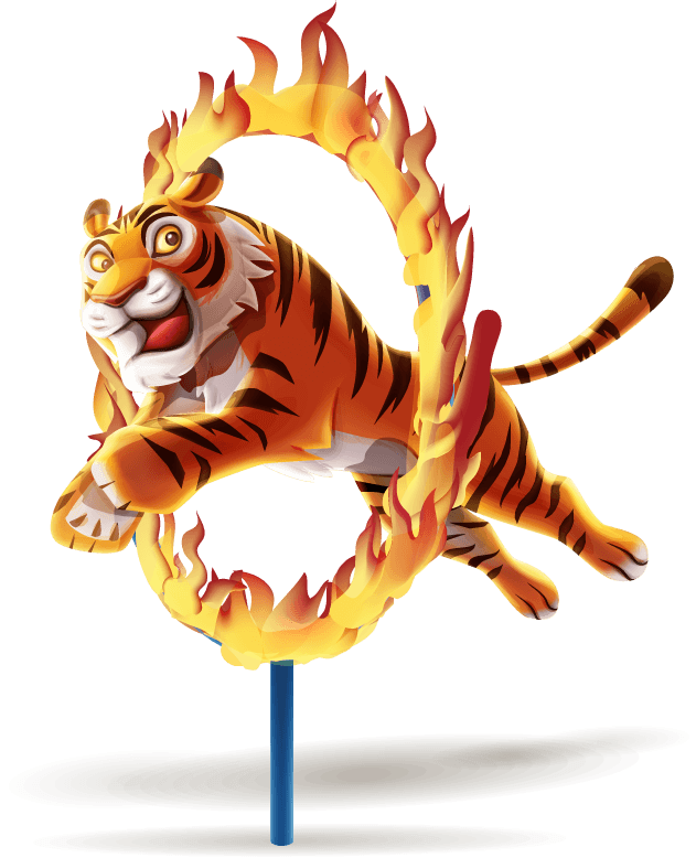 exciting tiger circus animal show with flaming hoop for thrilling performances