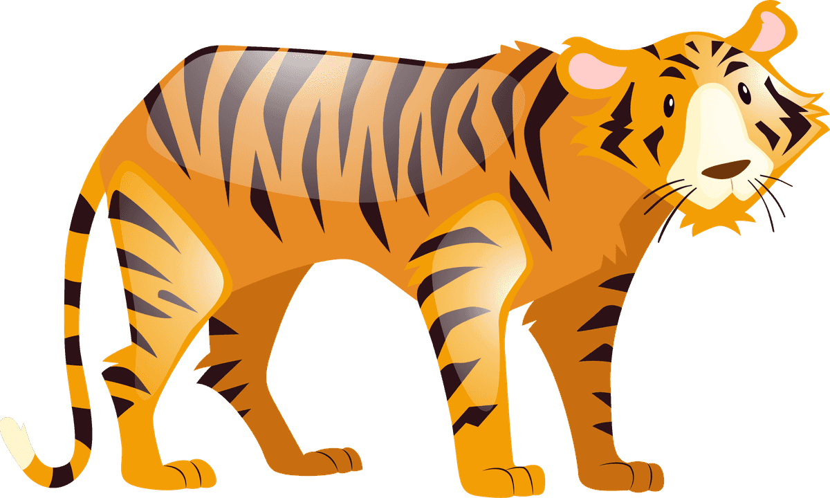 tiger wild animals collection: vibrant illustrations of fierce and majestic creatures for educational use