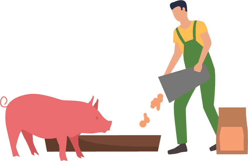Flat farming activities illustration