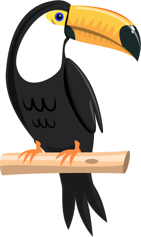 toco toucan exotic birds set