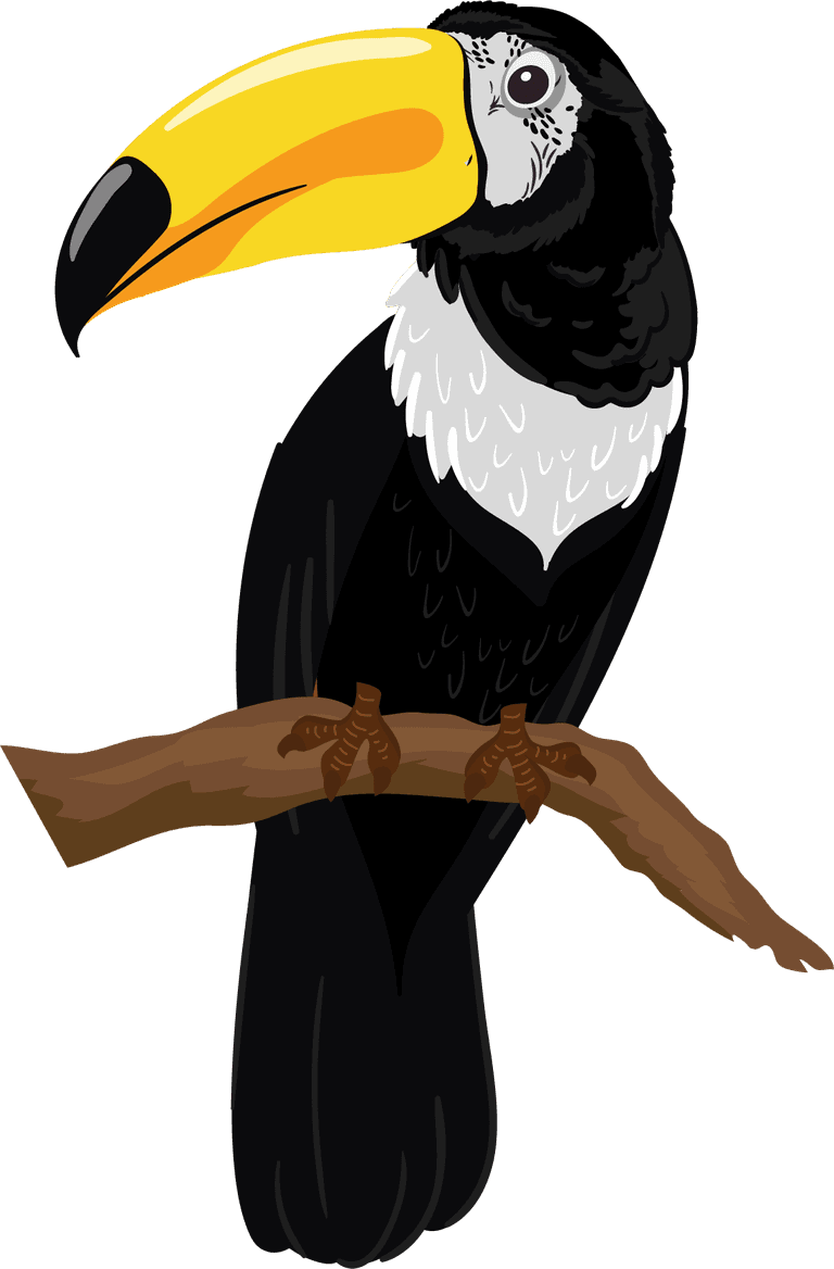toco toucan toucan bird icons colorful perching sketch