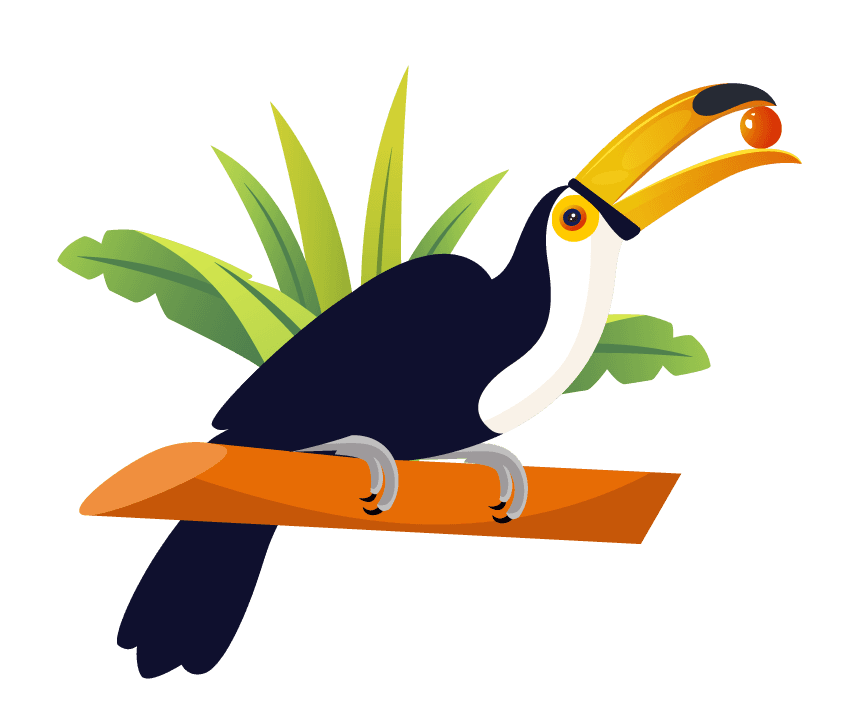 toco toucan tucan birds icons colorful cartoon sketch