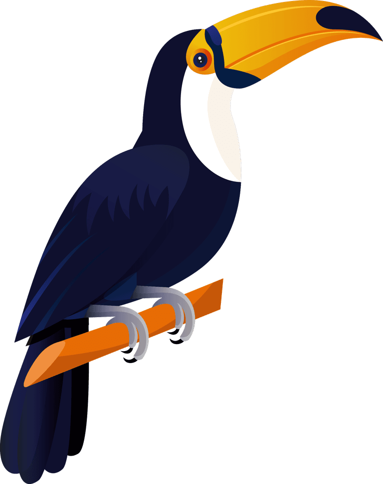 toco toucan tucan birds icons colorful cartoon sketch
