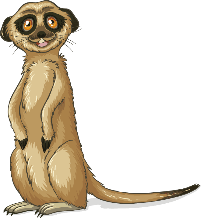 tod isolated picture wild animals featuring a cheerful meerkat character for educational use