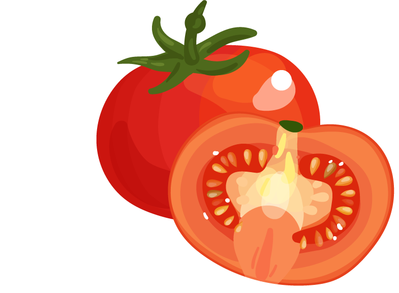 fresh tomato vegetables herbs collection for culinary creations and healthy recipes