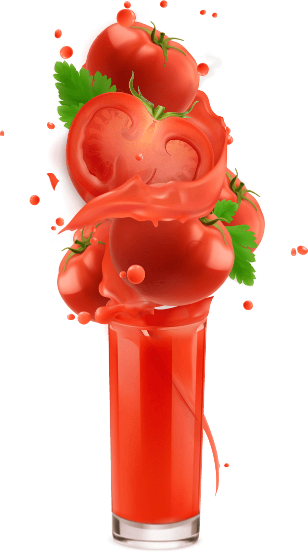 Tomato vegetables splash of juice vector