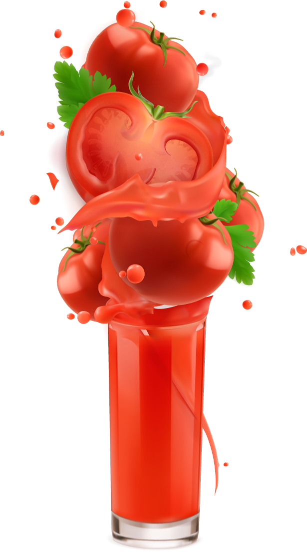 Tomato vegetables splash of juice vector