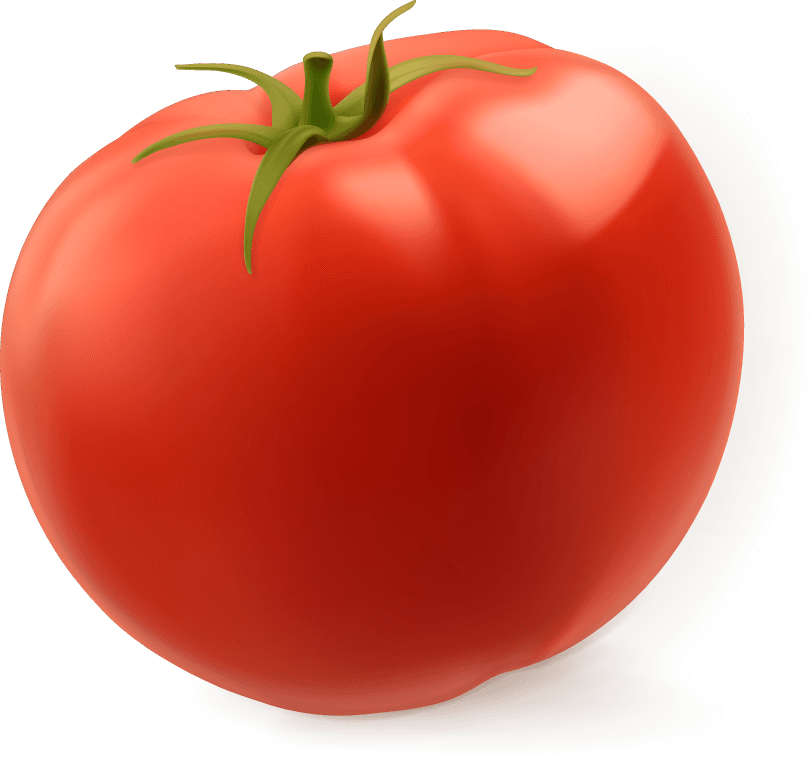 Tomato vegetables splash of juice vector