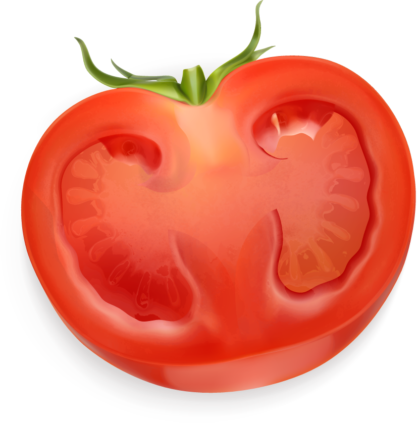 Tomato vegetables splash of juice vector