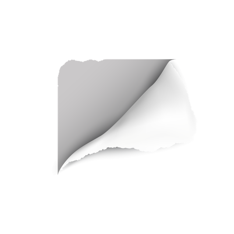 torn paper realistic transparent with curled edge for creative presentations and projects